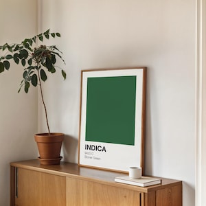 Könnte beinhalten: Ein gerahmter Druck mit einem grünen Quadrat und dem Text "INDICA 9420 C Stoner Green" auf weißem Hintergrund. Der Druck steht auf einem Holzregal mit einer weißen Tasse und einem Buch.