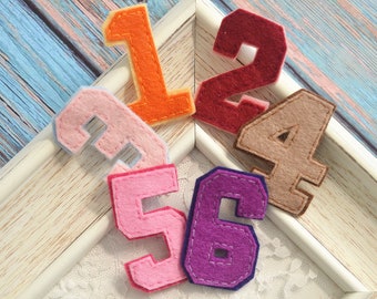 New! Set of 6pcs handmade felt number-mix colors (CL1055)
