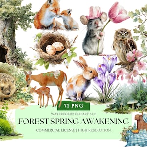 Forest Animals Spring Awakening Clipart | Woodland Watercolor PNG, Baby Animals, Spring Forest Creatures, Cute Nature Clipart