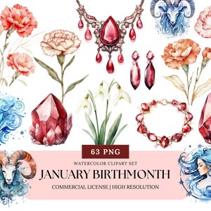 Naissance janvier fleur Clipart oeillet perce-neige grenat Pierre de naissance signes du zodiaque Capricorne Verseau Constellation PNG aquarelle