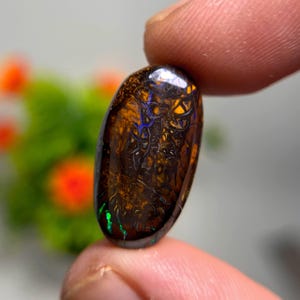May include: An oval gemstone with a dark brown base, displaying intricate patterns in blue, orange, and green. The polished stone is held between fingers, highlighting its details. The gemstone's size is emphasized.