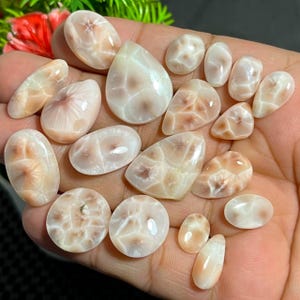 May include: A collection of polished gemstones in various shapes, including oval, teardrop, and irregular forms. The stones have a creamy white base color with intricate, swirling patterns in shades of peach and brown. The gemstones are displayed on a hand.