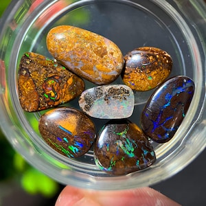 Könnte beinhalten: Eine Sammlung polierter Opal-Edelsteine in einem transparenten Behälter. Die Opale zeigen eine Vielzahl von Farben, darunter Braun, Orange, Blau und Grün, mit einzigartigen Mustern und schillernden Blitzen. Die Edelsteine haben ovale und unregelmäßige Formen.