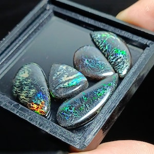 Puede incluir: Cinco piedras preciosas de ópalo negro con colores iridiscentes verdes, azules y naranjas. Los ópalos se muestran en una caja de terciopelo negro.