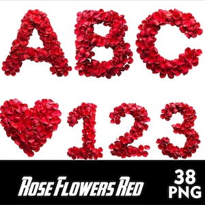 Rosa Vermelha Flor Alfabeto Rosa Folhas PNG Alfabeto Amor Fonte De Casamento PNG Letras Rosa Flor Carta Sublimação PNG Flores Doodle Flor Png