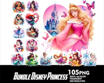 BUNDLE 105 Princess Character in Movies and SuperHero PNG Splash Cartoon Characters Png Princess Design 300Dpi High Resolution Transparent