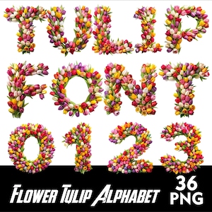 Blume Tulpe Alphabet Tulip Schrift PNG Buchstaben Farbige Tulpe Blumen Buchstaben Sublimation PNG Blumen Doodle Schrift Blume Png Buchstaben
