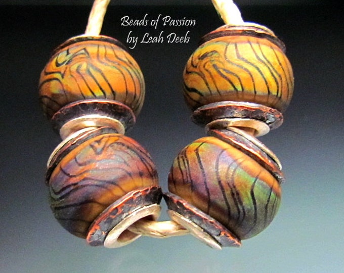 4pc Earthy Vertebrae Capped BHB Set - Etsy