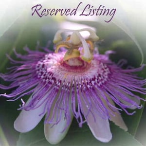 May include: A close-up of a passion flower with purple, white, and yellow hues. The flower has intricate, thread-like filaments radiating from the center. The text "Reserved Listing" is written in a cursive font at the top.