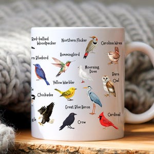May include: White ceramic mug displaying colourful illustrations of various bird species, including a hummingbird, bluebird, and cardinal. Each bird is labelled with its name, such as "Red-bellied Woodpecker" and "Barn Owl". The mug has a white handle.