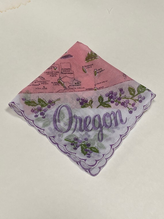 Vintage Oregon Hanky - Handkerchief Hankie - image 5