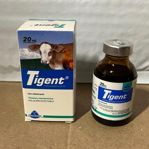 Tigente