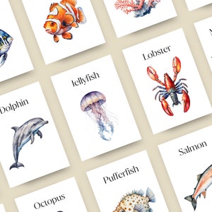 23 Ocean Animals Cards, Montessori flash cards, Pre-School Cards, Rainbow Educational Printable Cards, INSTANT DOWNLOAD