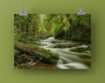 DREAMY STREAMY - Unframed Print or Mounted on Metal or Canvas. Color Photograph of stream in Oswald West State Park, Arch Cape Oregon USA.