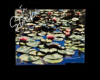 ED’s PAD - 16x20” Fine Art Color Print of Lilly Pads, Mounted on Wood & Finished With Resin. In Stock, Ships Next Day! Garden Flowers Pond