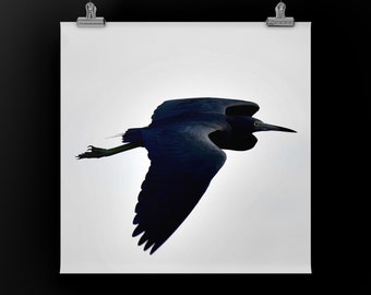 Black Bird White Sky -  Unframed Print or Mounted on Metal or Canvas. Color Photograph of Blue Herron in Egmont Key Wildlife Refuge, Florida