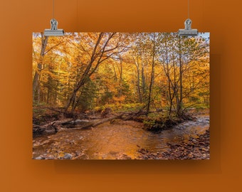 LITTLE GARLIC RIVER-Unframed or Printed on Metal or Canvas, Color Print. Little Garlic River, Marquette, Michigan, Upper Peninsula.