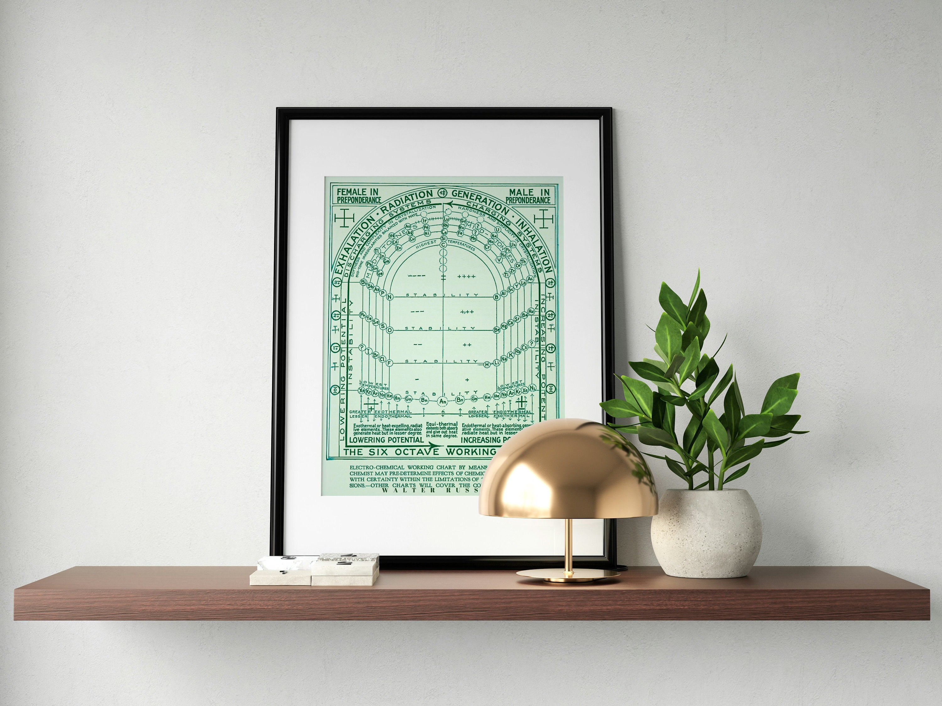 The Electrochemical Flow Chart by Walter Russell Digital Download