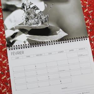 Black and White Animal Calendar 2025-26
