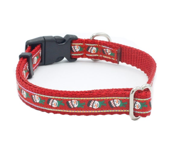 running with boston terrier