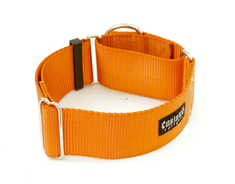 2 Inch Width Martingale Nylon Dog Collar 2 No Slip Martingale Training Dog Collar Rust (copper)