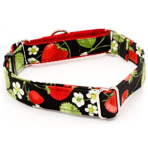 May include: A black and red dog collar with a strawberry print. The collar has two silver metal D-rings.