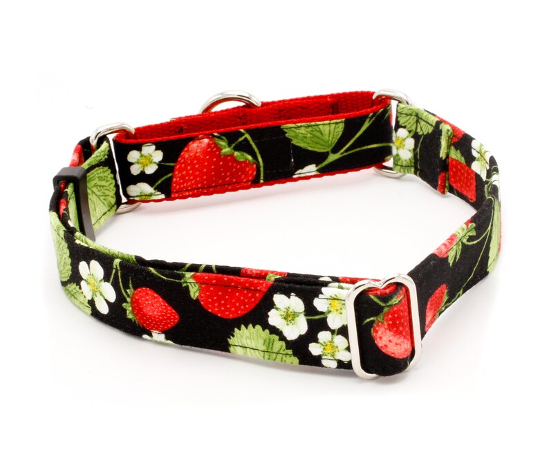 May include: A black and red dog collar with a strawberry print. The collar has two silver metal D-rings.