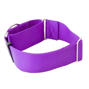 2 Inch Width Martingale Nylon Dog Collar 2 No Slip Martingale Training Dog Collar image 5