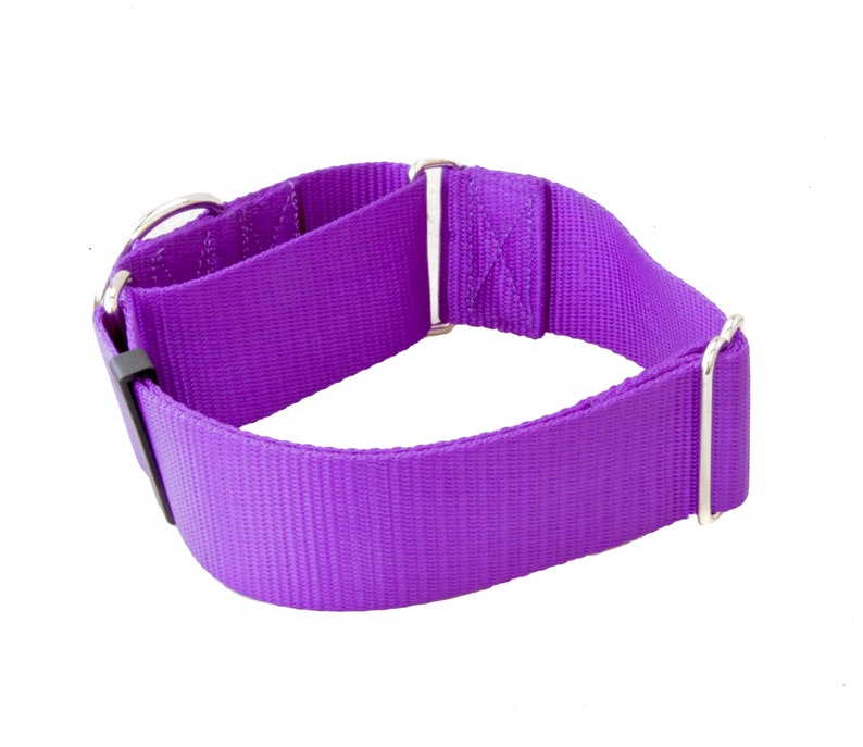 2 Inch Width Martingale Nylon Dog Collar 2 No Slip Martingale Training Dog Collar image 5