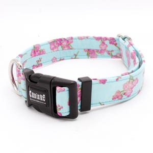 Cherry Blossoms Dog Collar - Martingale or Buckle 1/2&quot;- 2&quot; Width Collars