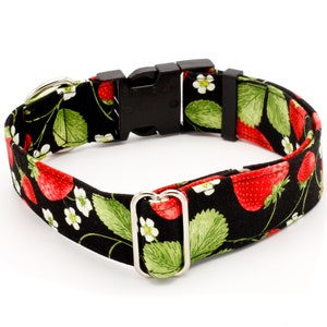 May include: A black dog collar with a red and green strawberry print. The collar has a black plastic buckle and a silver D-ring.