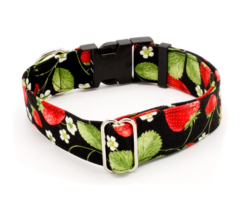 May include: A black dog collar with a red and green strawberry print. The collar has a black plastic buckle and a silver D-ring.