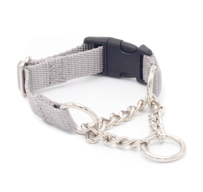 1 Inch Chain Martingale No Slip Dog Collars 1 Half Check Etsy