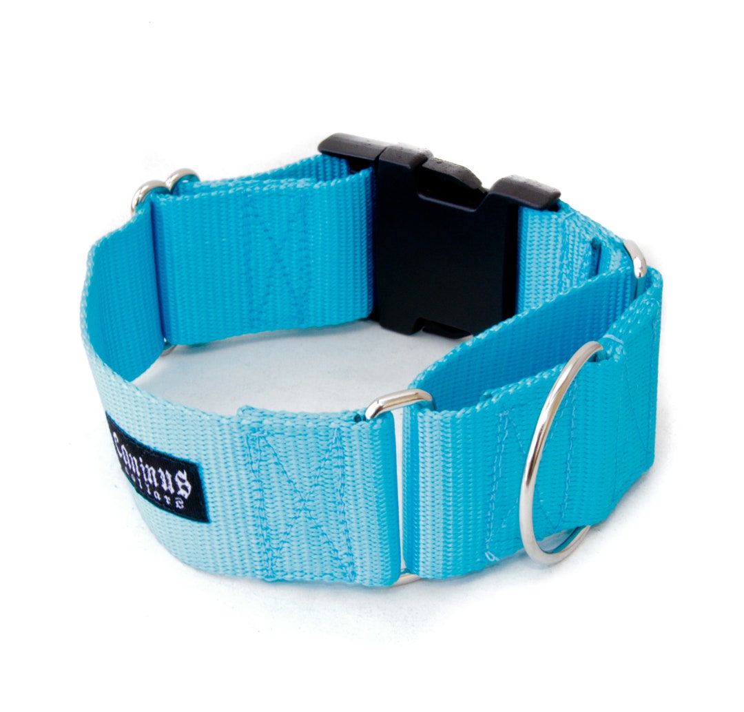 2 Inch Width Martingale W/ Buckle Nylon Dog Collar 2 Martingale With