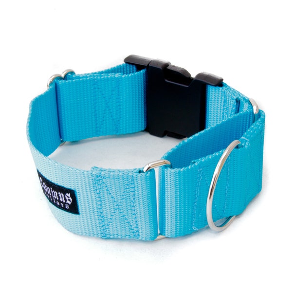 Martingale de 2 pouces de largeur avec boucle Collier de chien en nylon - Martingale de 2" avec boucle