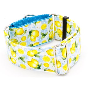 Collar para perro Sour Lemons - Martingale o hebilla 5/8&quot; - 2&quot; Anchos Fruta