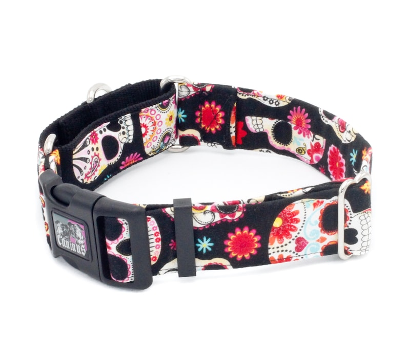 May include: Black dog collar with a colorful sugar skull pattern. The collar has a silver buckle and two silver D-rings.