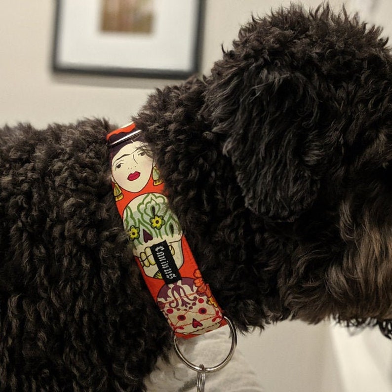 May include: A red dog collar featuring a Frida Kahlo-inspired design with sugar skulls and the word "Caninus". The collar has a silver metal ring and is wrapped around a dog's neck.