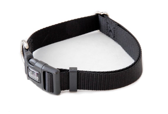 Collar perros de de hebilla de 3/8 - Etsy España