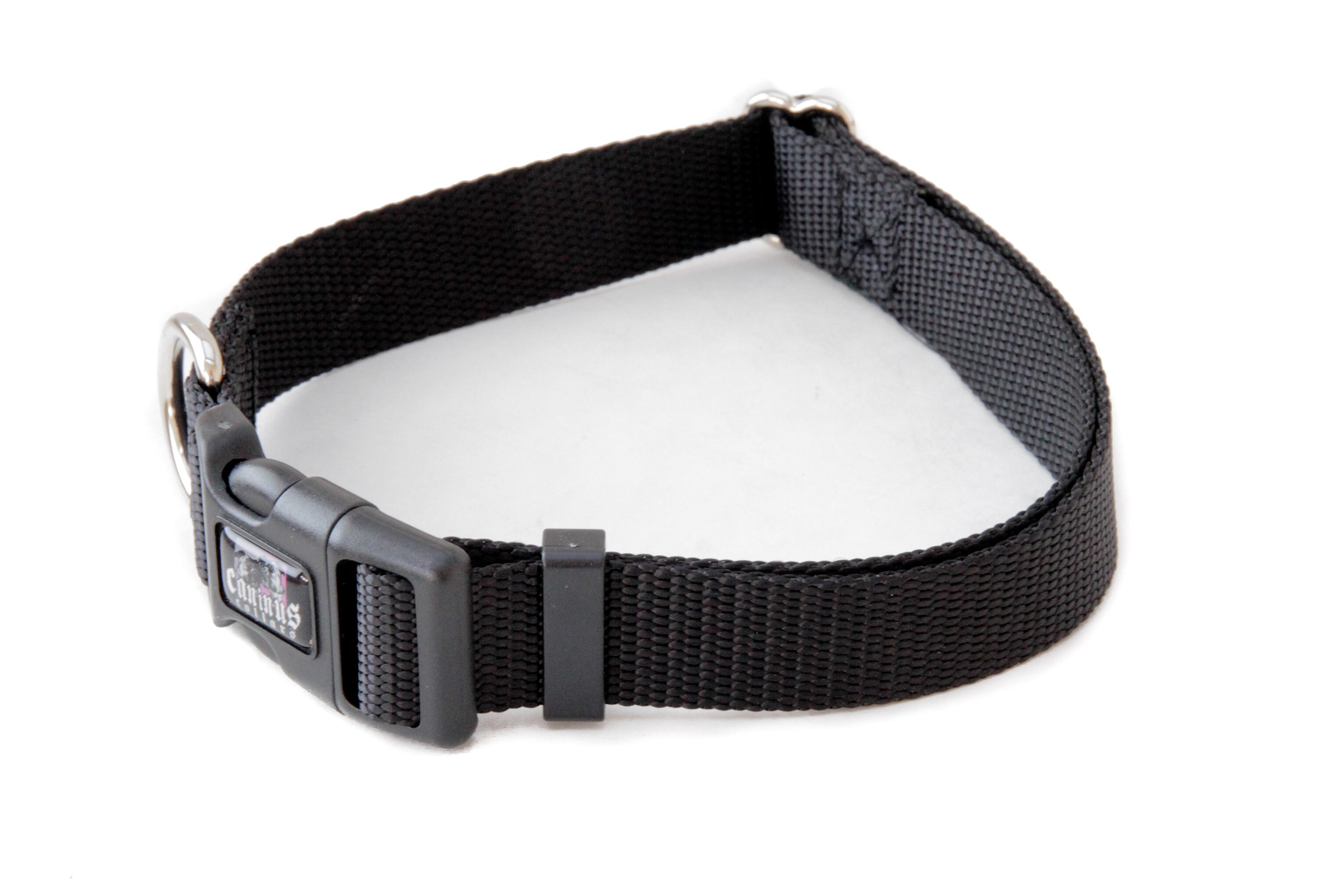 Collar perros de de hebilla de 3/8 - Etsy España