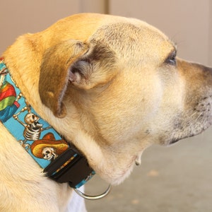 Pode incluir: Um c&atilde;o castanho claro usando uma coleira de c&atilde;o azul e branca com um design de esqueleto e sombrero.