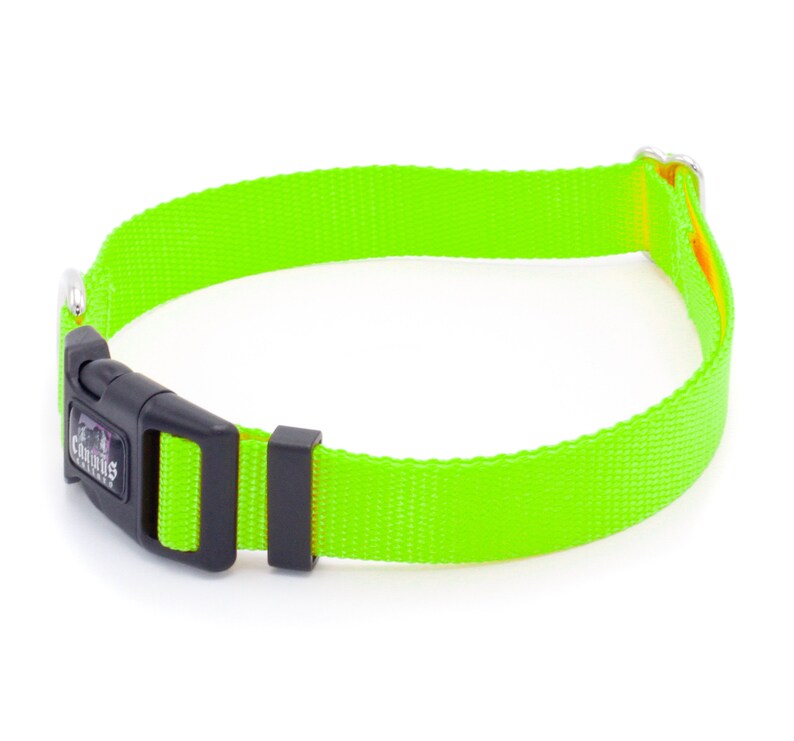 1/2 Inch Width Side Release Buckle Nylon Dog Collar Etsy
