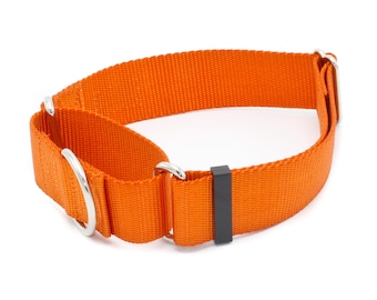 1.5 Inch Width Martingale Nylon Dog Collar - 1.5" Martingale No Slip Training Dog Collar