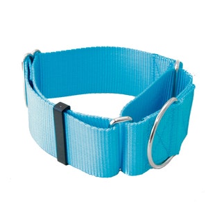 2 Inch Width Martingale Nylon Dog Collar 2 No Slip Martingale Training Dog Collar Turquoise