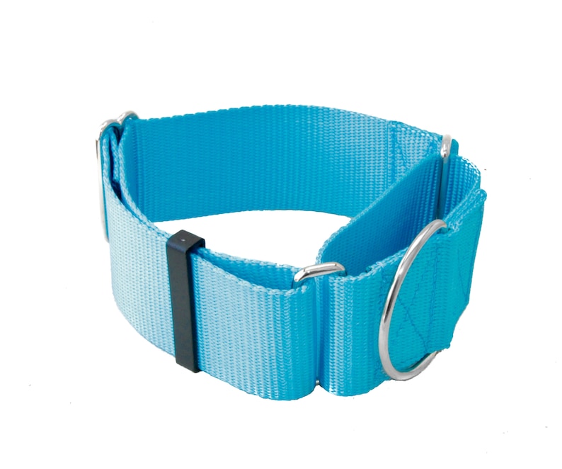 2 Inch Width Martingale Nylon Dog Collar 2 No Slip Martingale Training Dog Collar Turquoise