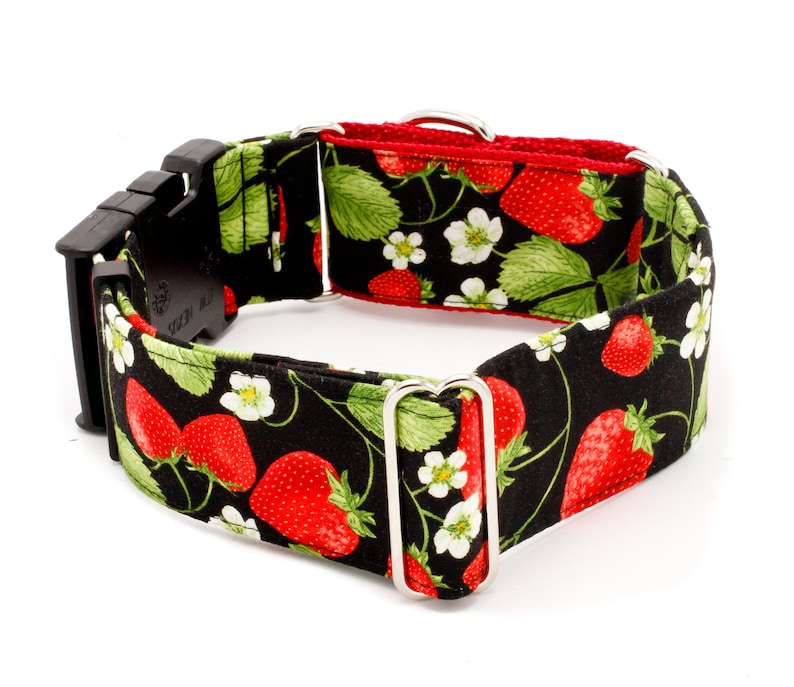 May include: A black and red dog collar with a strawberry print. The collar is made of durable webbing and has a silver buckle and D-ring.