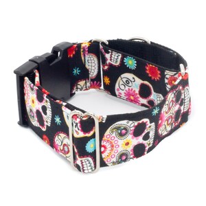 May include: Black dog collar with a colorful sugar skull pattern. The collar is made of durable webbing and has a sturdy buckle.