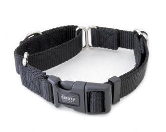 1/2 Inch Width Martingale w/ Buckle Nylon Dog Collar - 1/2" Martingale with Buckle Training Collar