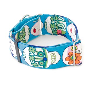 May include: A turquoise dog collar with a repeating pattern of white skulls, flowers, and green floral designs. The collar has a black plastic buckle and silver metal hardware.
