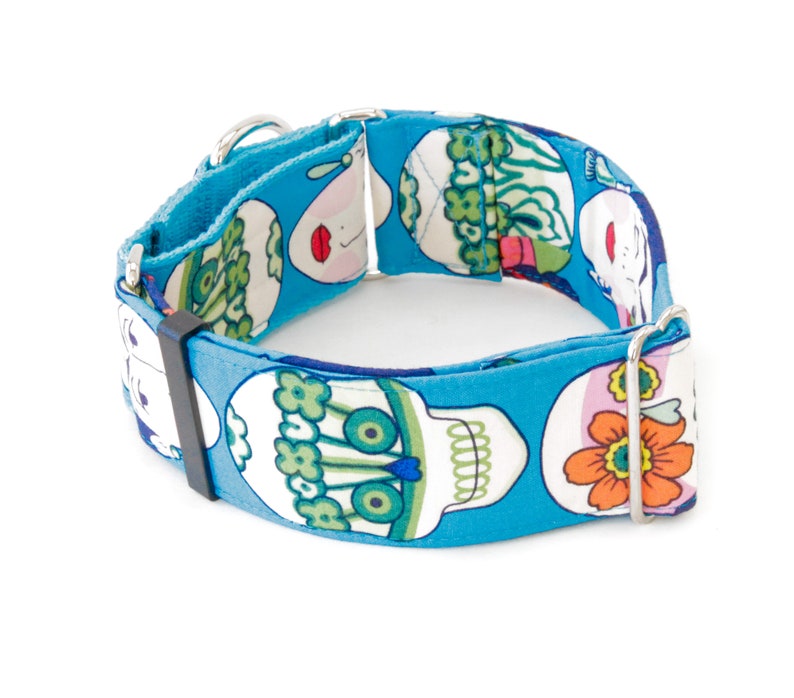 May include: A turquoise dog collar with a repeating pattern of white skulls, flowers, and green floral designs. The collar has a black plastic buckle and silver metal hardware.